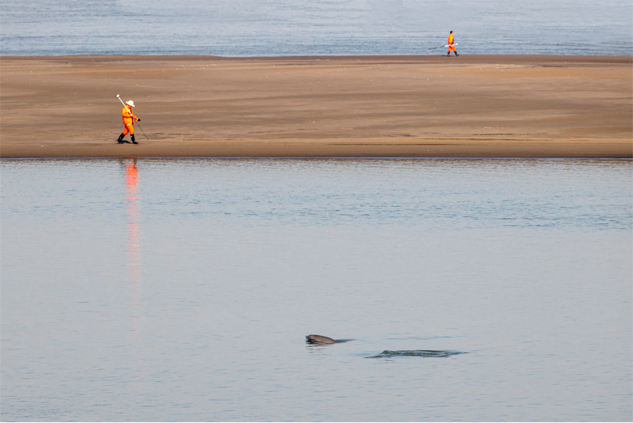 1_1長江精靈（組照） 石云波 18973072691.png