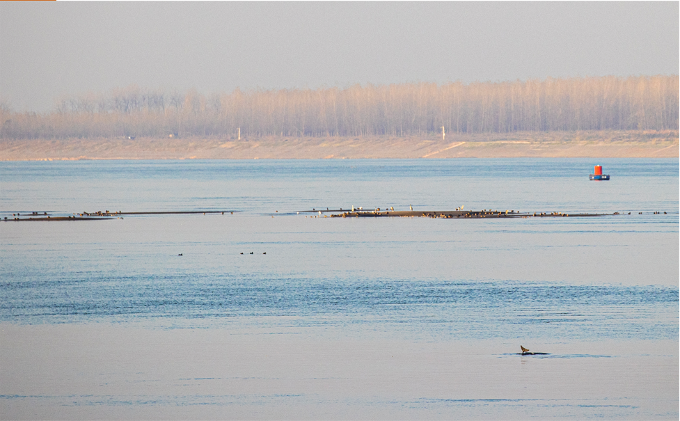 1_4長江精靈（組照） 石云波 18973072691.png