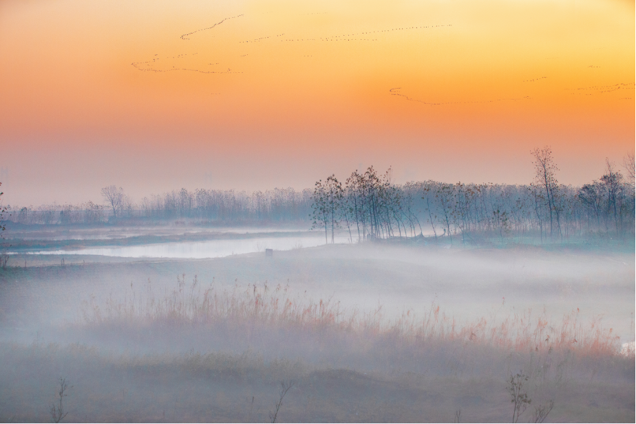 19_1《洞庭晨霧》（組照）李文  18873050161.png