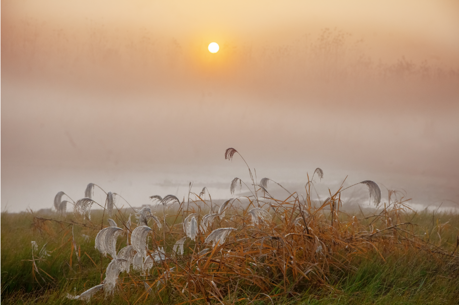 19_3《洞庭晨霧》（組照）李文  18873050161.png