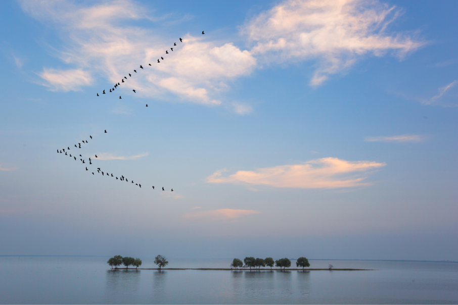 1651828627549035307.png 26《水天一色》岳陽錢糧湖 段煉中 15367914378.png