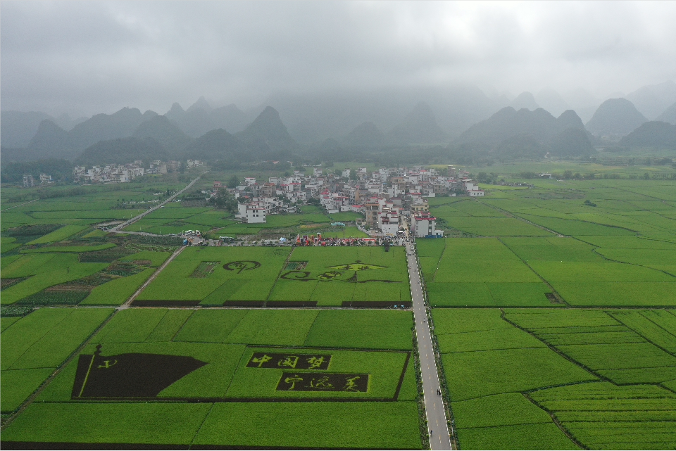 1651888270009058321.png 微信截圖_20220507095155.png