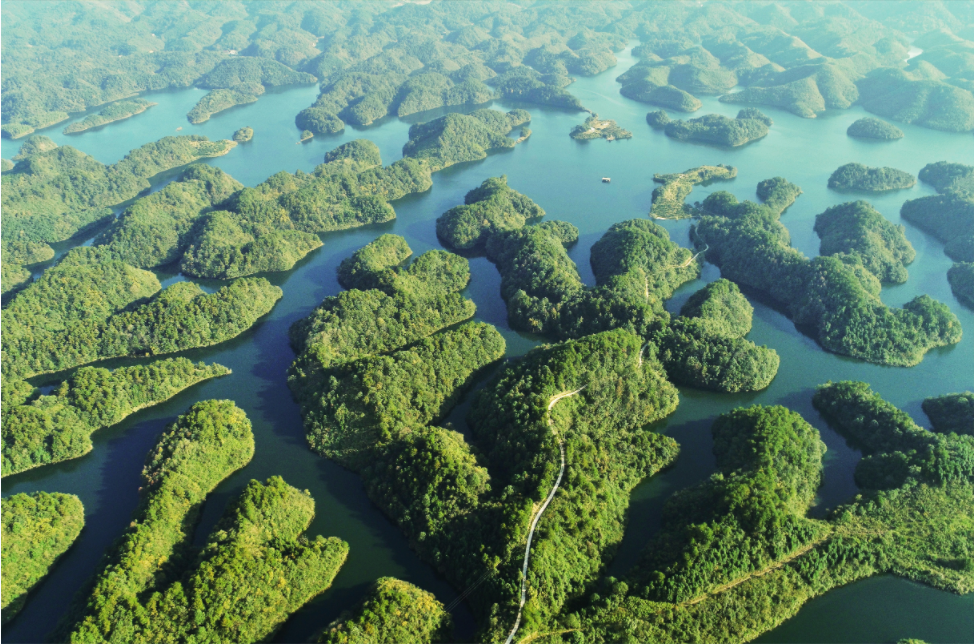 1651891660426068387.png 微信截圖_20220507104846.png