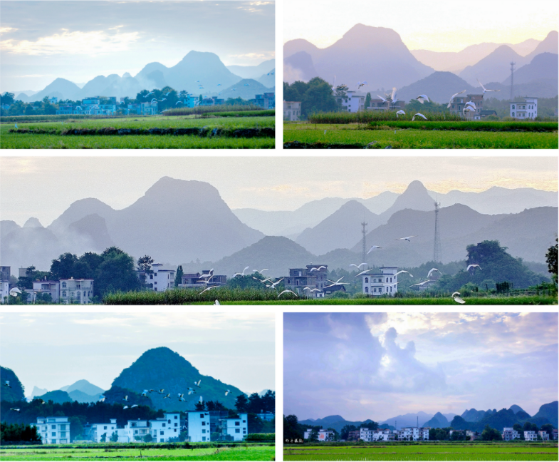 1651901706916043143.png 微信截圖_20220507113434.png