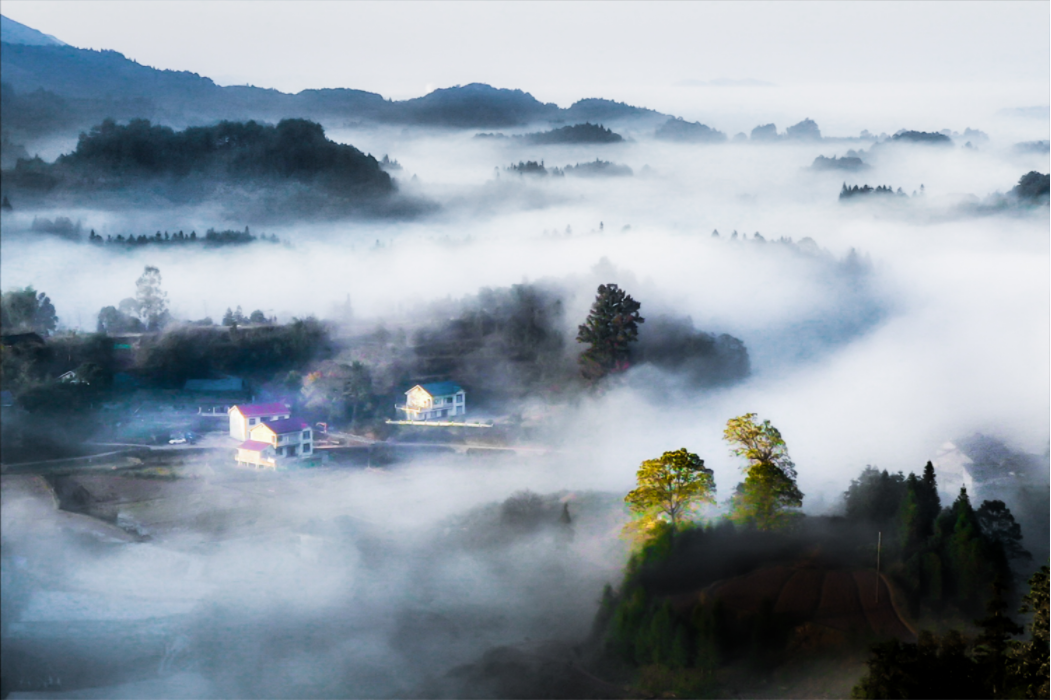 1651902877534065336.png 微信截圖_20220507135204.png