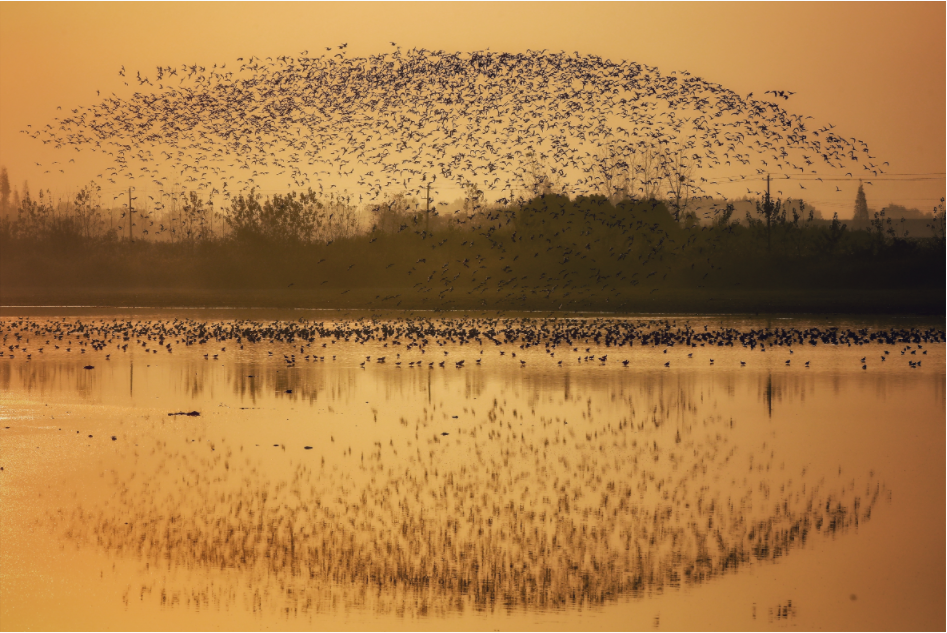 1651908354198087426.png 微信截圖_20220507152030.png