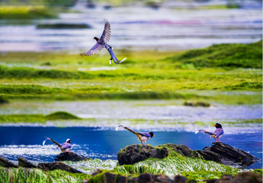 1651909341725071727.png 微信截圖_20220507154216.png