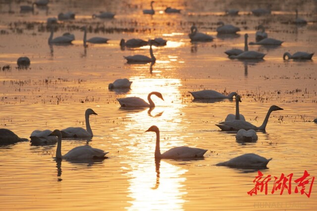 大道向前·沿著總書記足跡丨華龍碼頭：水碧大江流