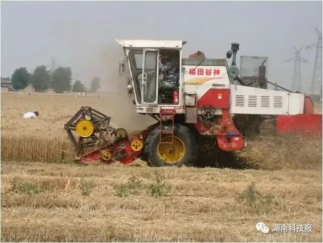 1662015932388041505.jpg 2.jpg