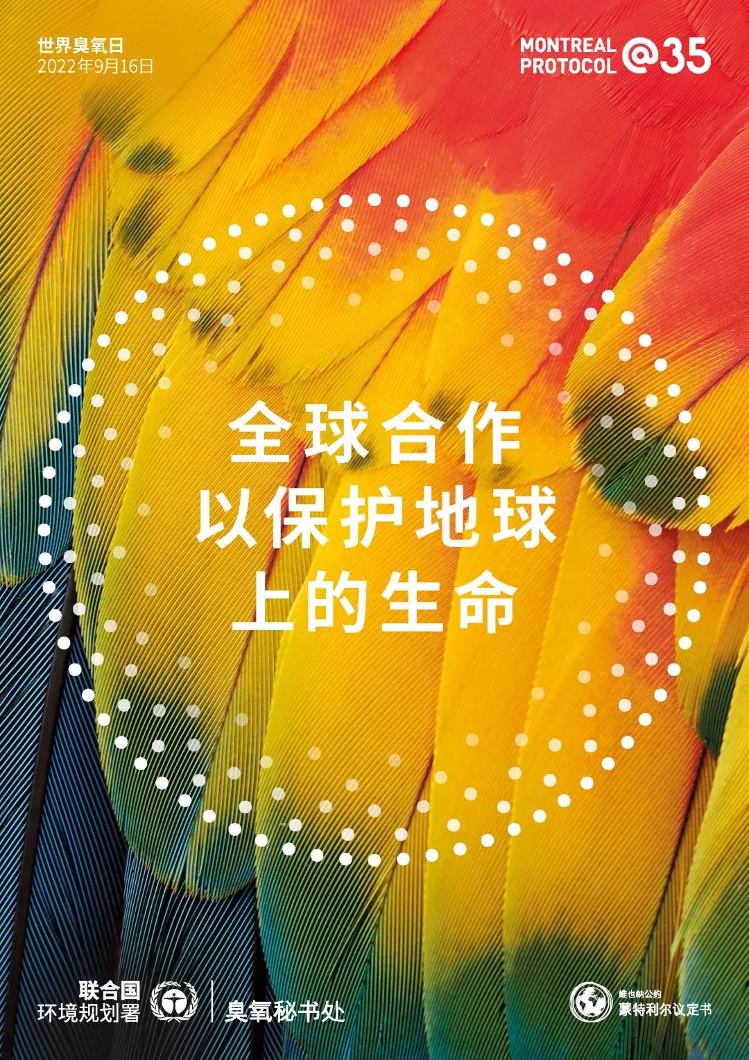 1663327696853094538.jpg 1663327696853094538.jpg