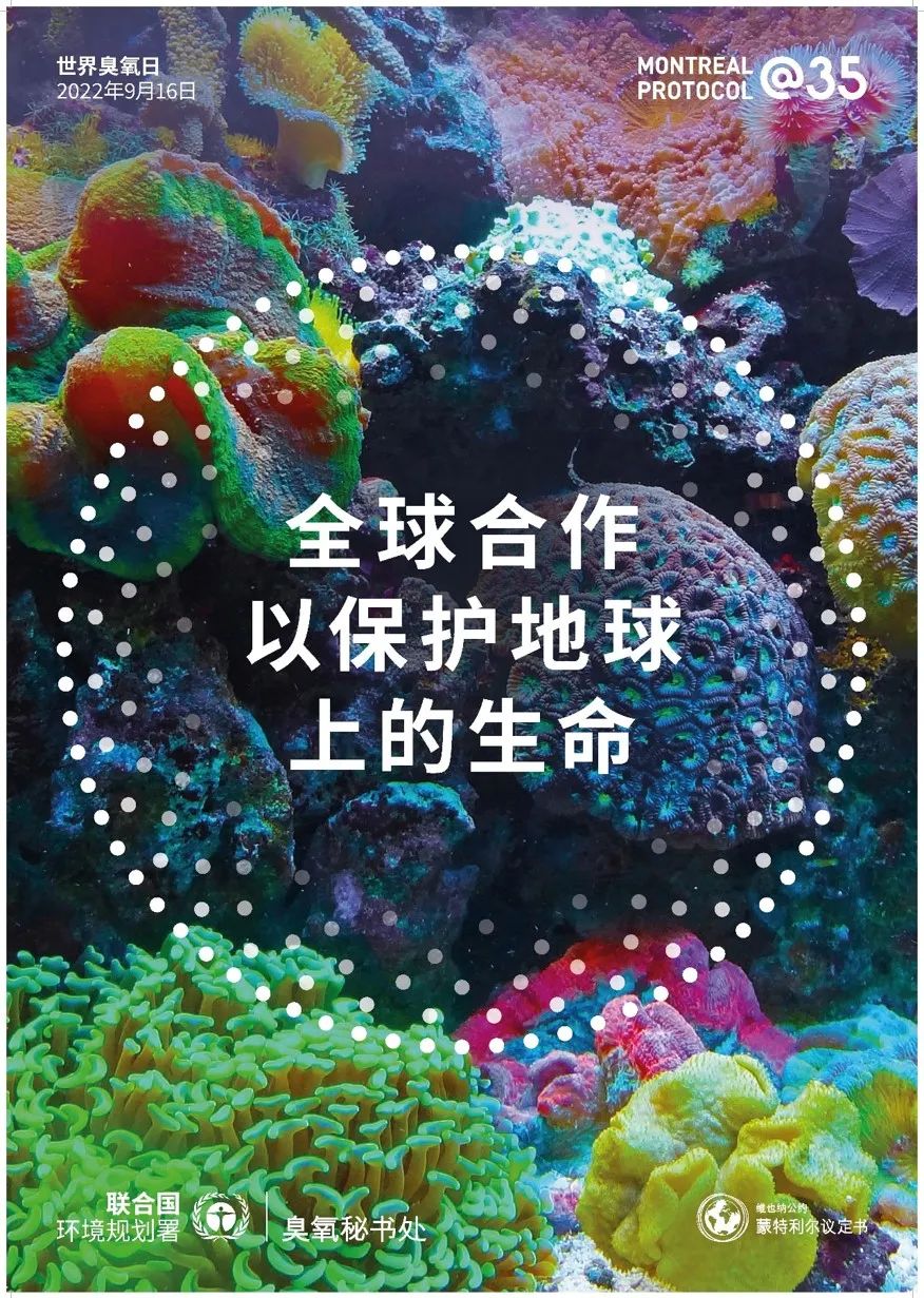 1663327707004012295.jpg 1663327707004012295.jpg