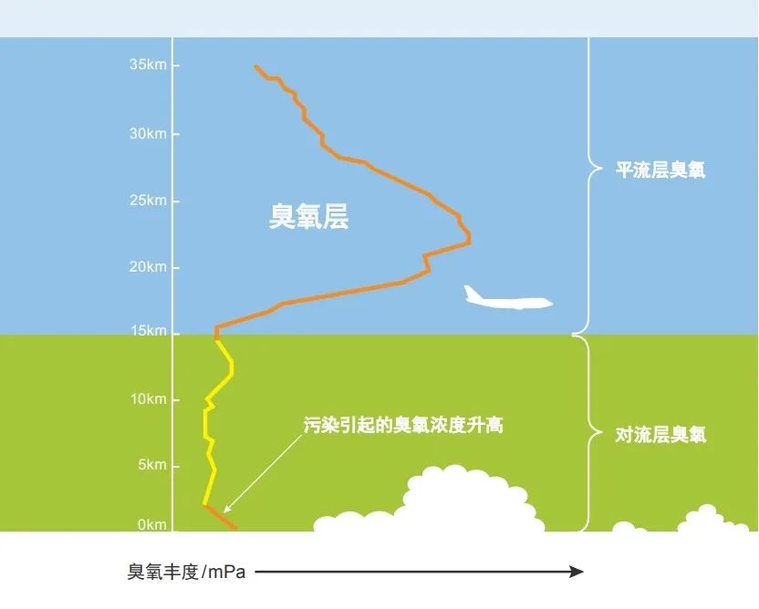 1663327880519089462.jpg 1663327880519089462.jpg