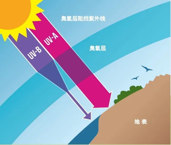 1663327891034009096.jpg 1663327891034009096.jpg