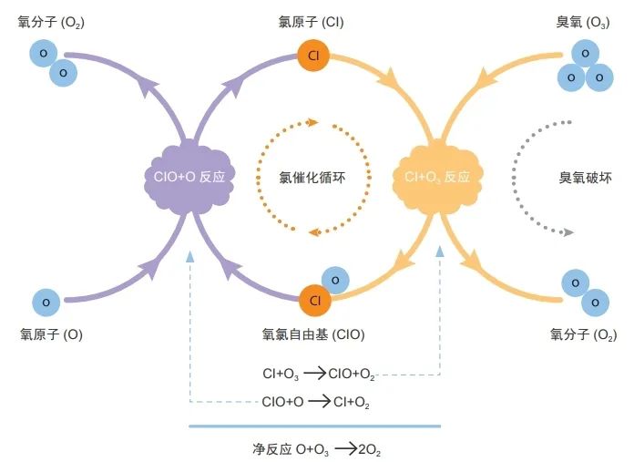 1663327903793097116.jpg 1663327903793097116.jpg