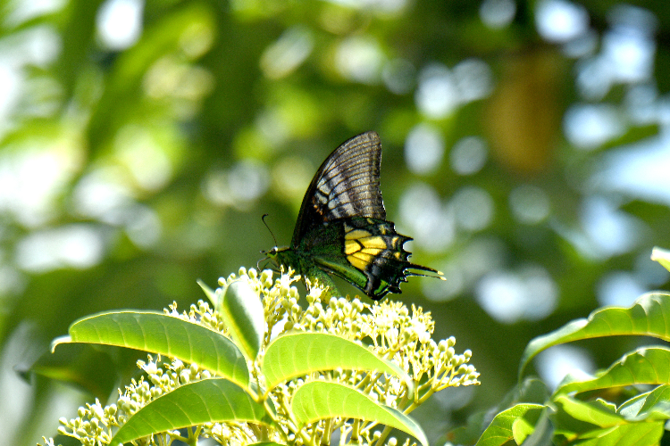 1665189908343073760.png 1665189908343073760.png