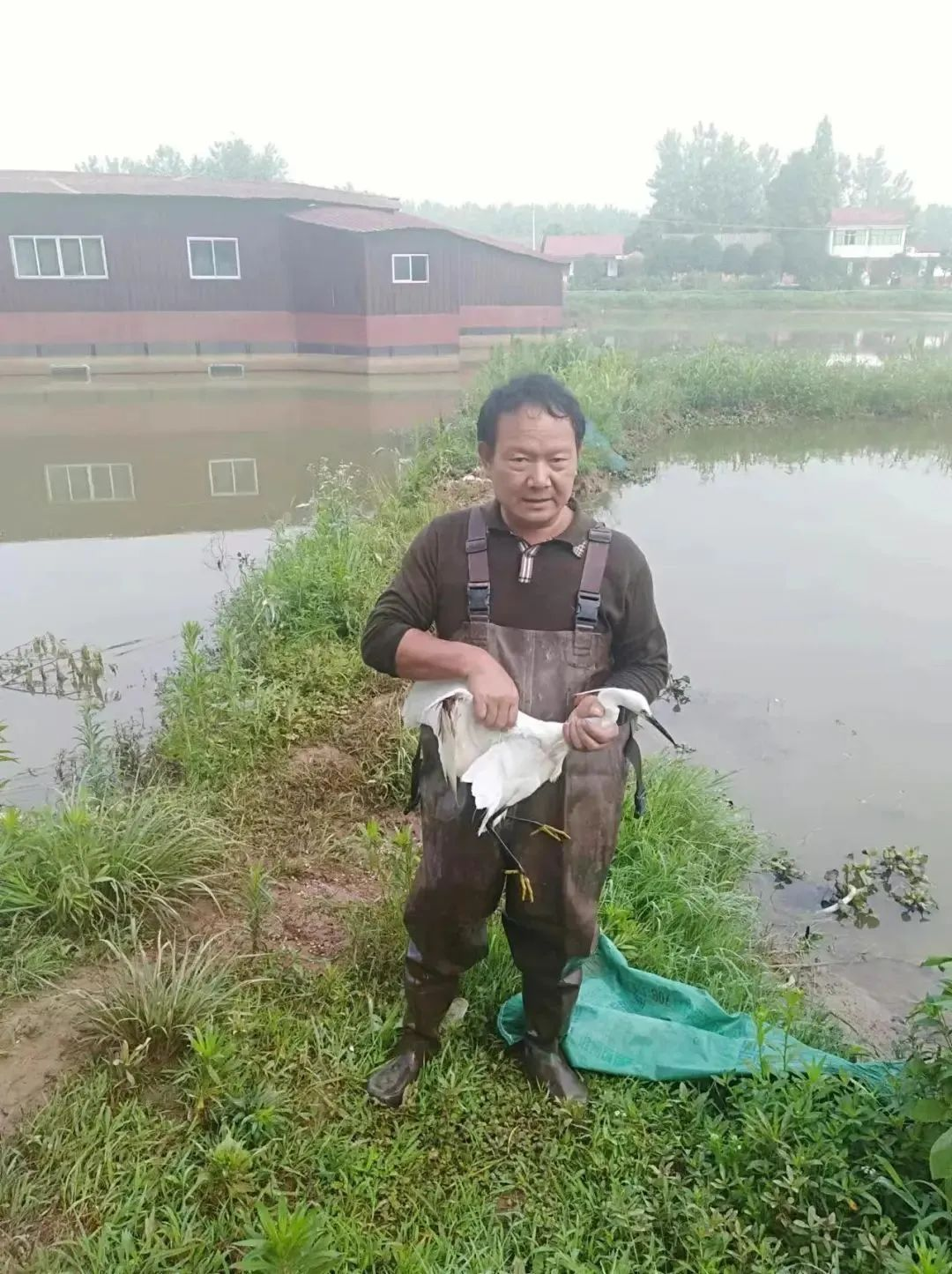 1668390954638025204.png 圖片16.png