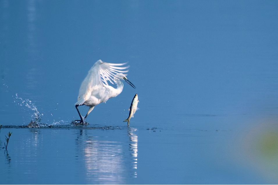 1671412110373040784.jpg 1671412110373040784.jpg