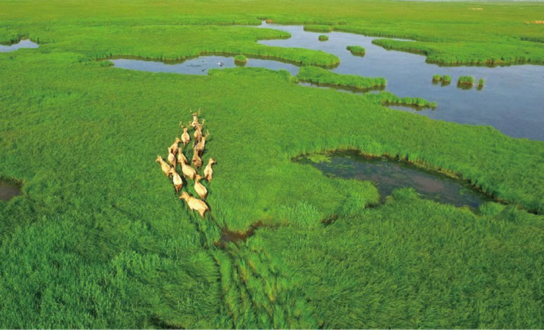 1671412142813062136.jpg 1671412142813062136.jpg