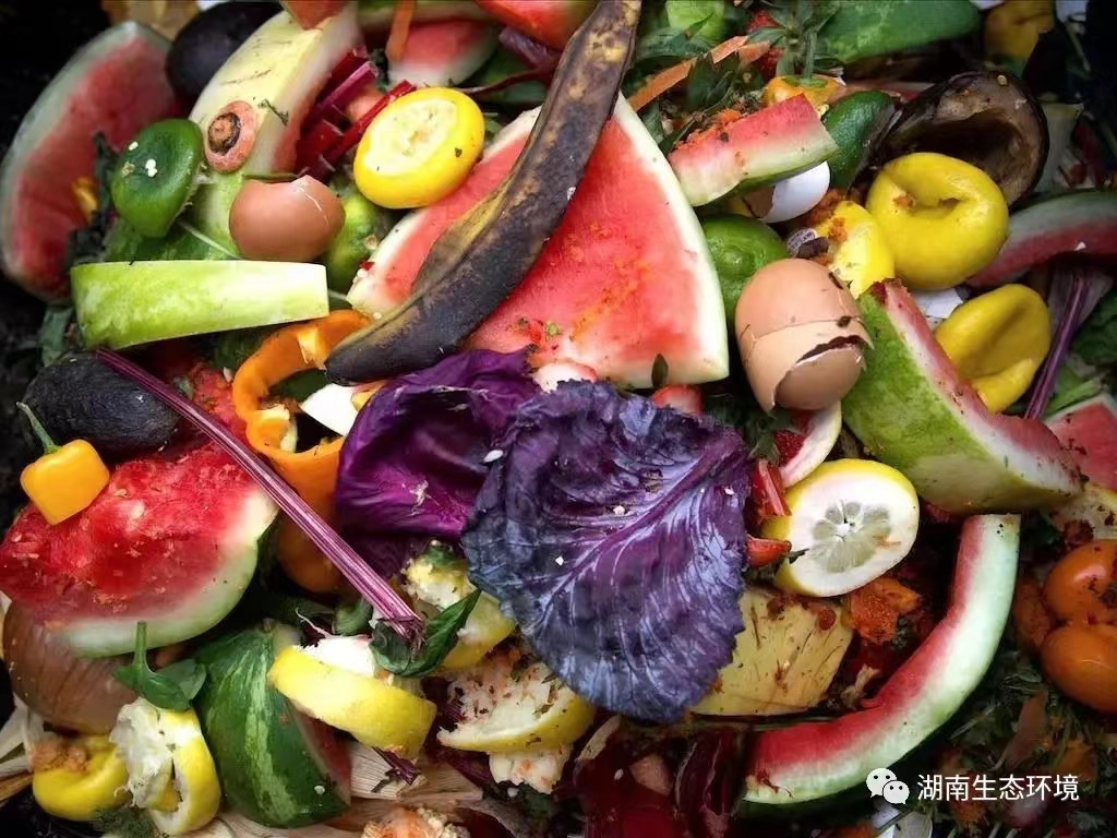 1673510335487080590.jpg 1673510335487080590.jpg