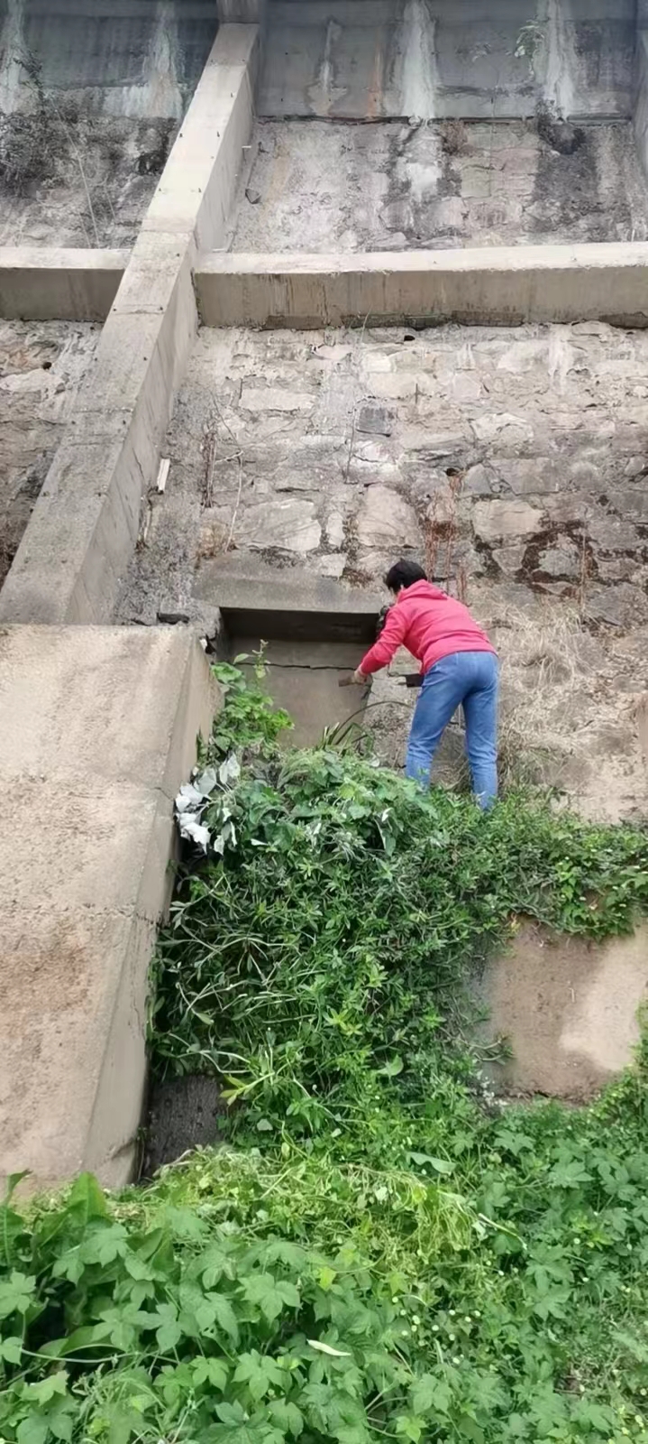 1675416898316034707.jpg 1675416898316034707.jpg