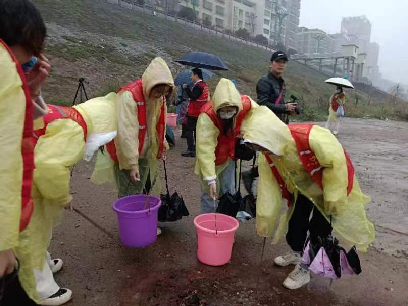 1678065398467064362.jpg 1678065398467064362.jpg