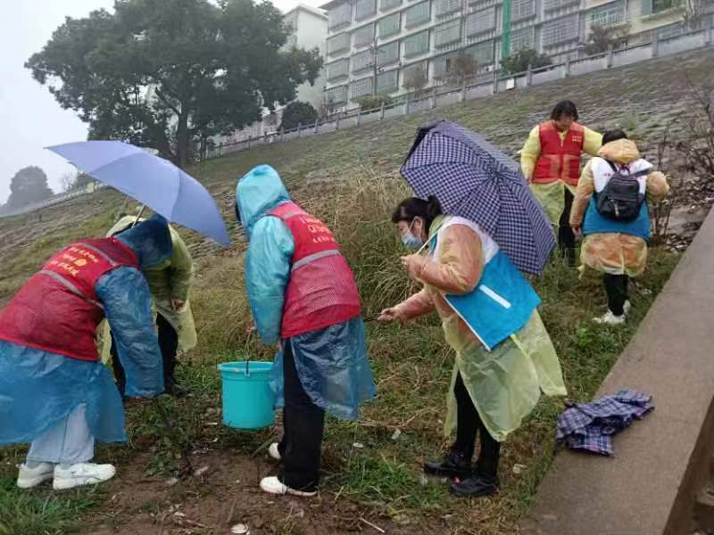 1678065423722079903.jpg 1678065423722079903.jpg