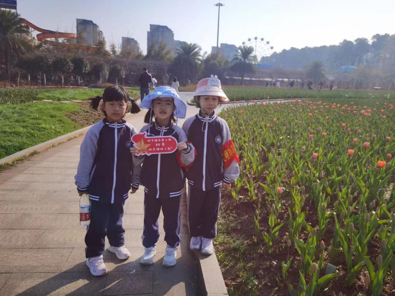 1678086273084095339.jpg 1678086273084095339.jpg