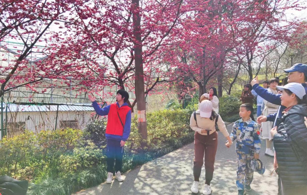 1678086295158070443.jpg 1678086295158070443.jpg