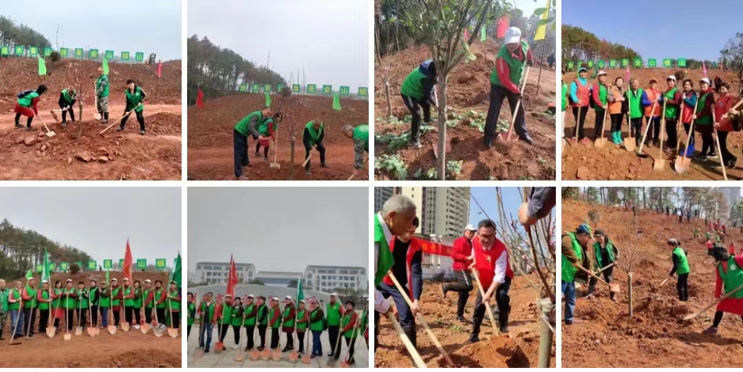 1678690349979086125.jpg 1678690349979086125.jpg