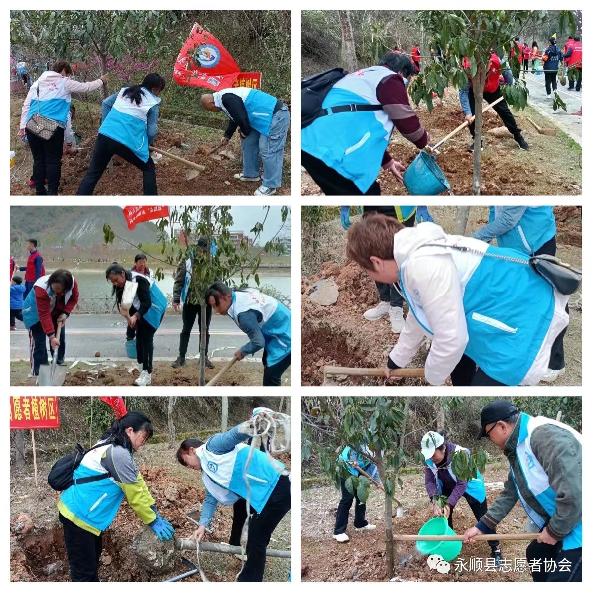 1678691292473010993.jpg 1678691292473010993.jpg