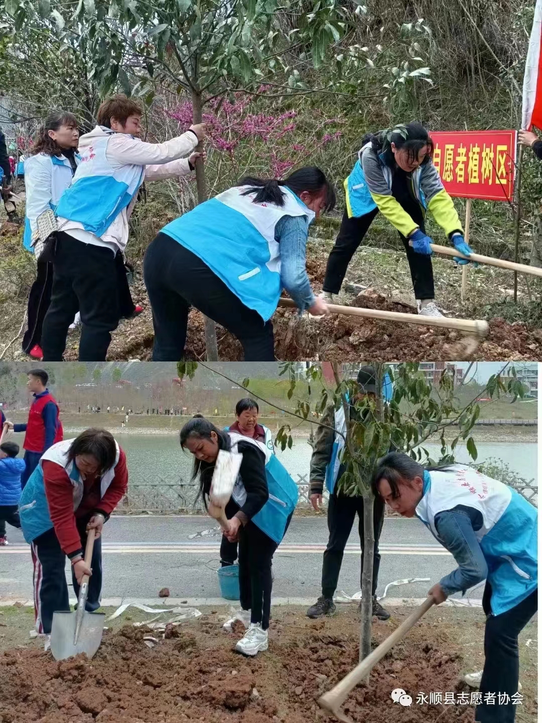 1678691352821074378.jpg 1678691352821074378.jpg