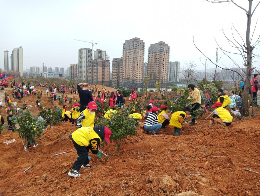 1678780747135055254.jpg 1678780747135055254.jpg