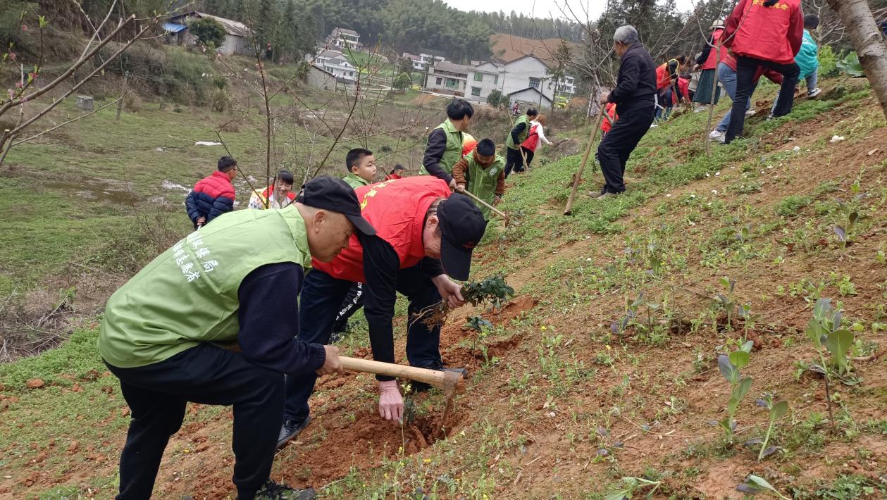 1678784974756052248.jpg 1678784974756052248.jpg