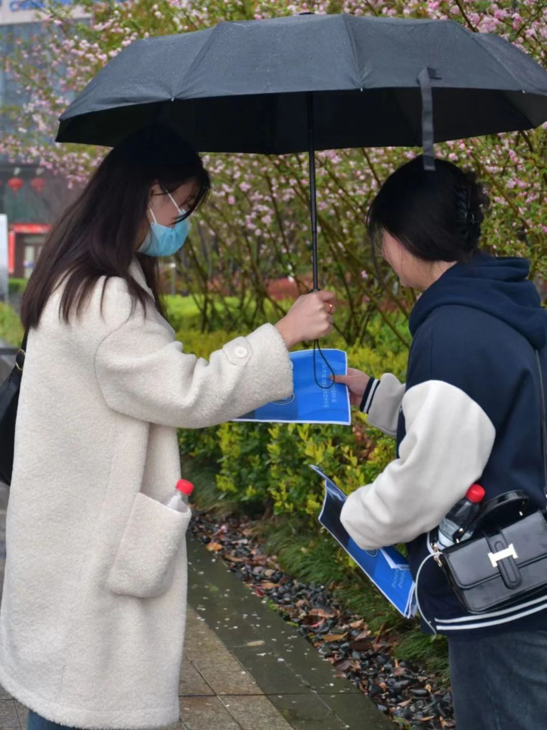 1679538265744044165.jpeg 1679538265744044165.jpeg