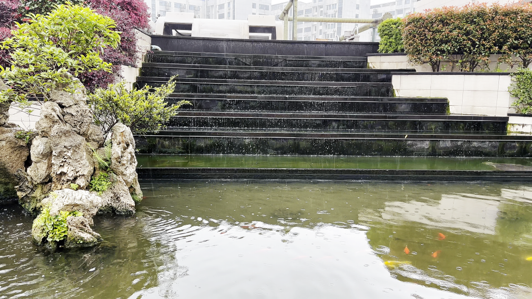 1679965706786000875.png 1679965706786000875.png