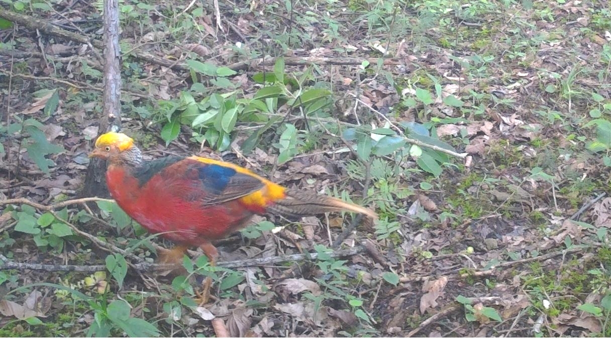 1680764035556011115.jpg 1680764035556011115.jpg