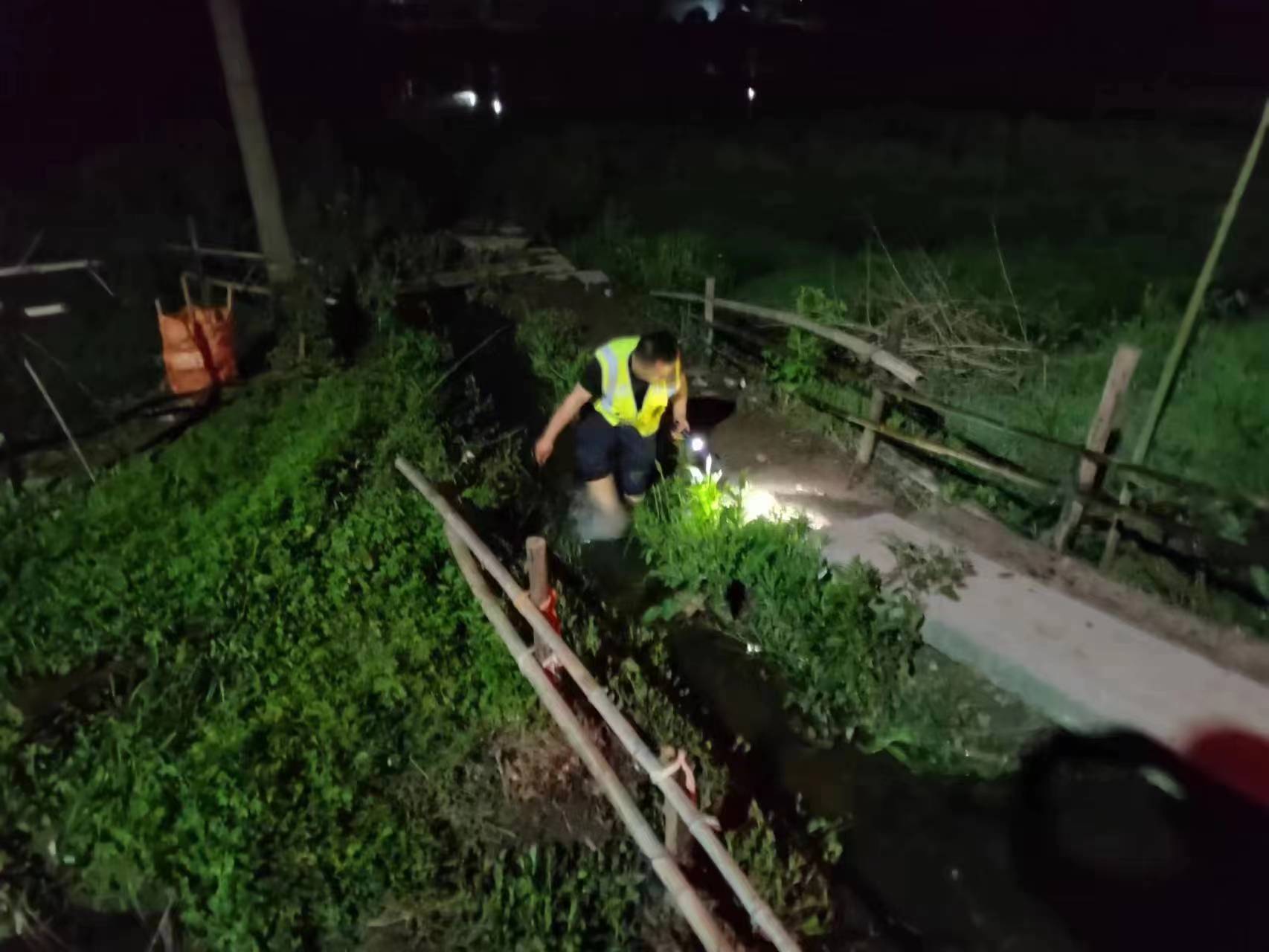 1681699228441035015.jpg 1681699228441035015.jpg