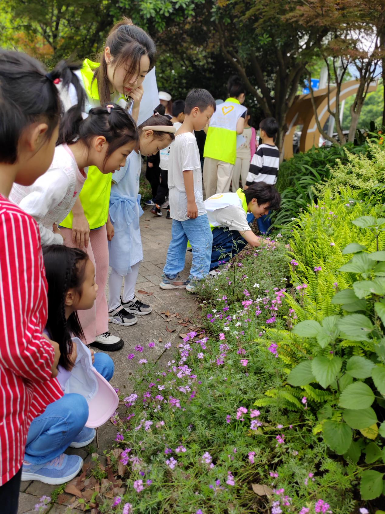 1684197052742080899.jpg 1684197052742080899.jpg