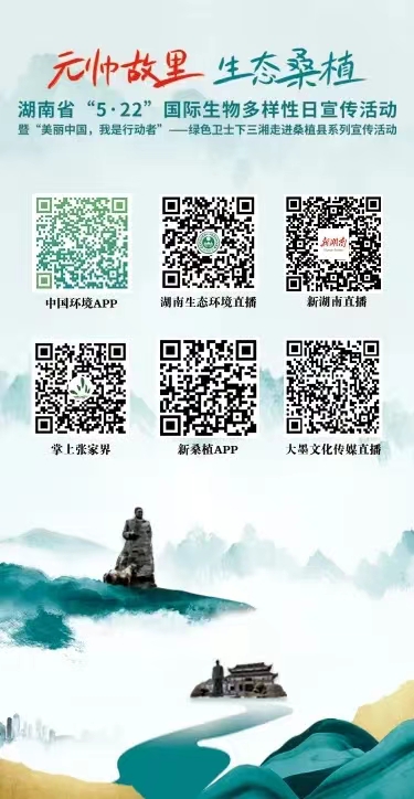 1684716809054019790.jpg 5.22元帥2.jpg