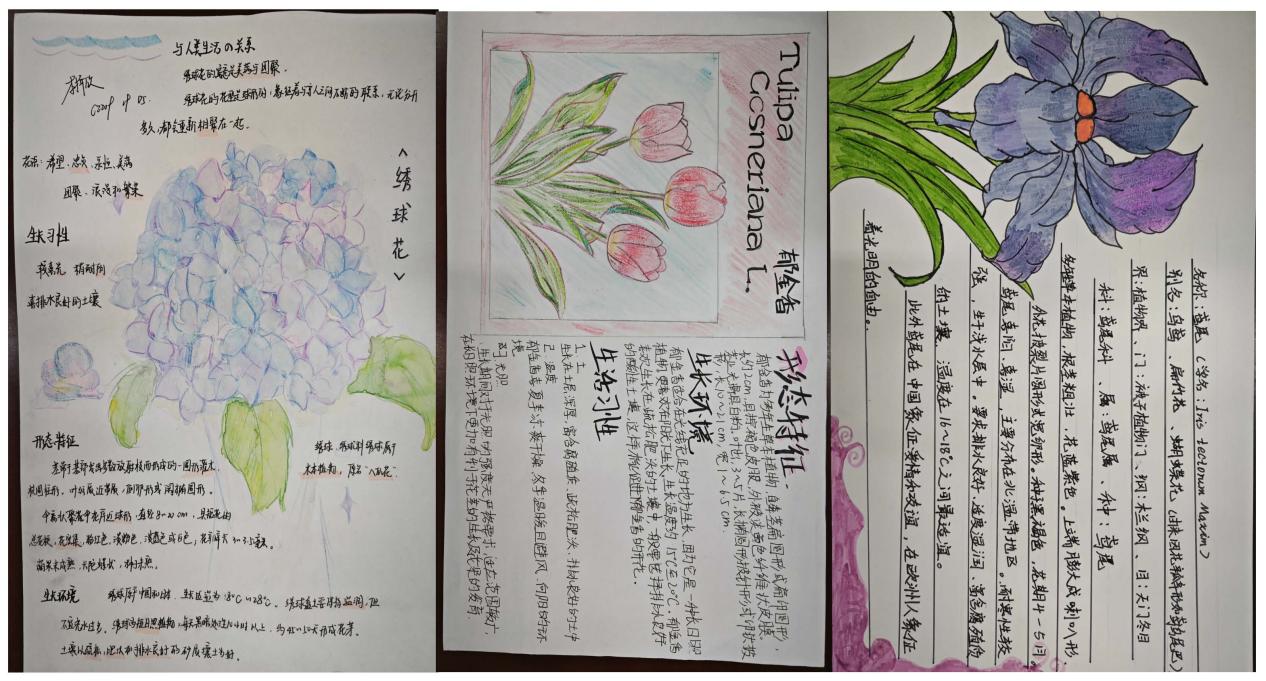 1685065087749042663.jpg 1685065087749042663.jpg