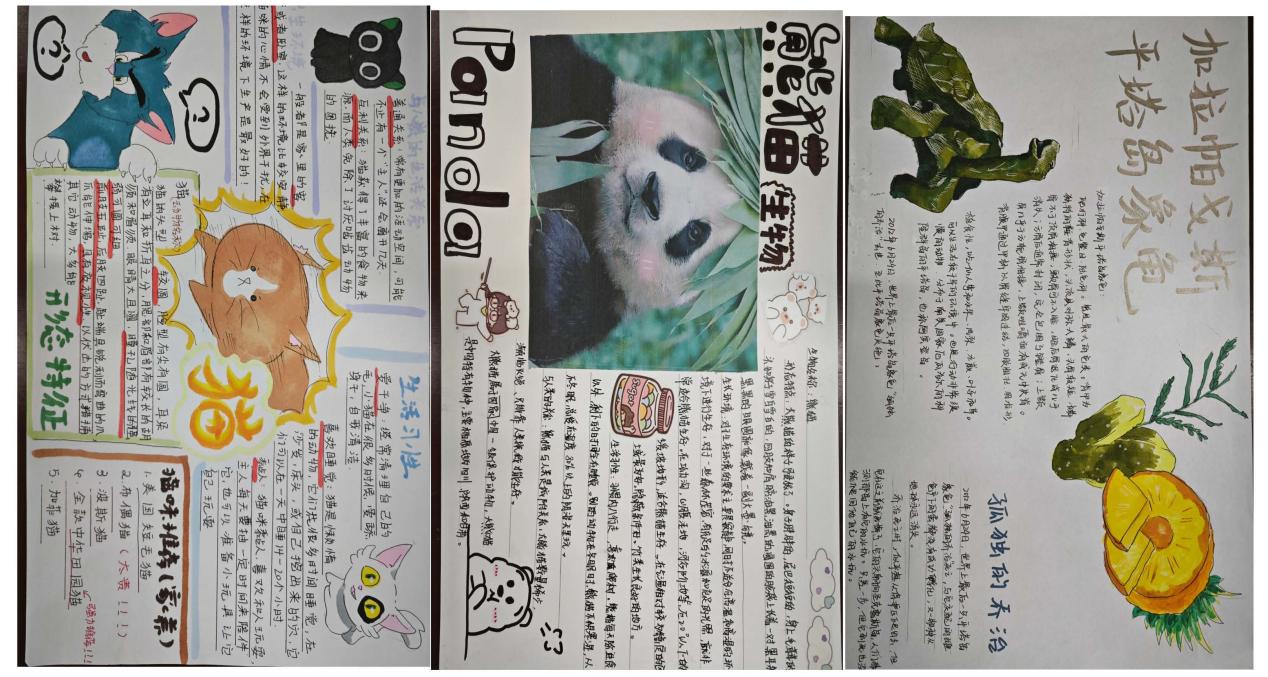 1685065111512051750.jpg 1685065111512051750.jpg