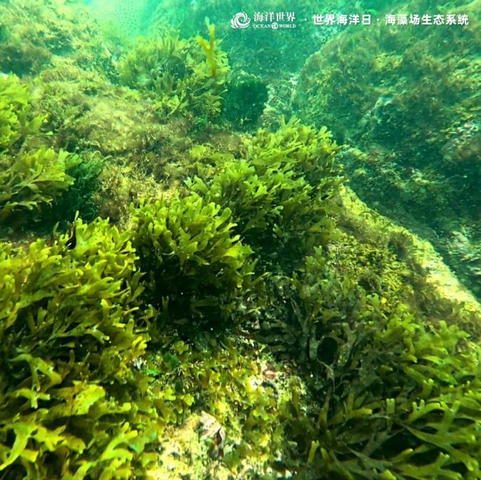 1686706720100095961.jpg 1686706720100095961.jpg