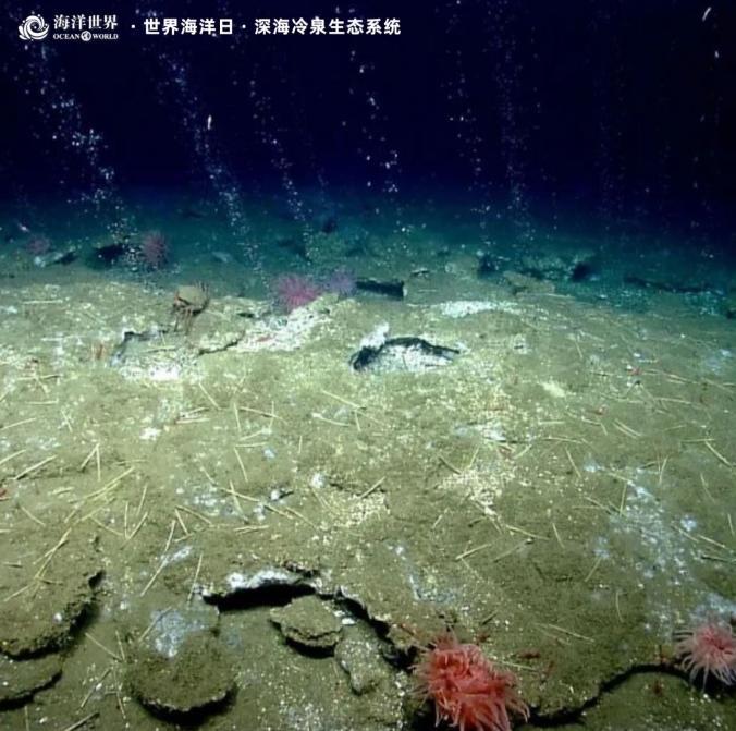 1686706837633065185.jpg 1686706837633065185.jpg