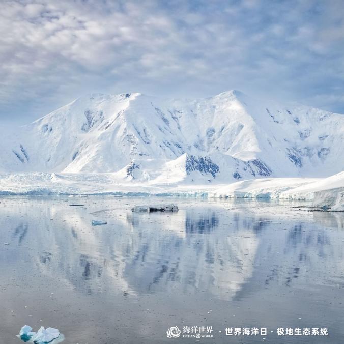 1686706883862005349.jpg 1686706883862005349.jpg