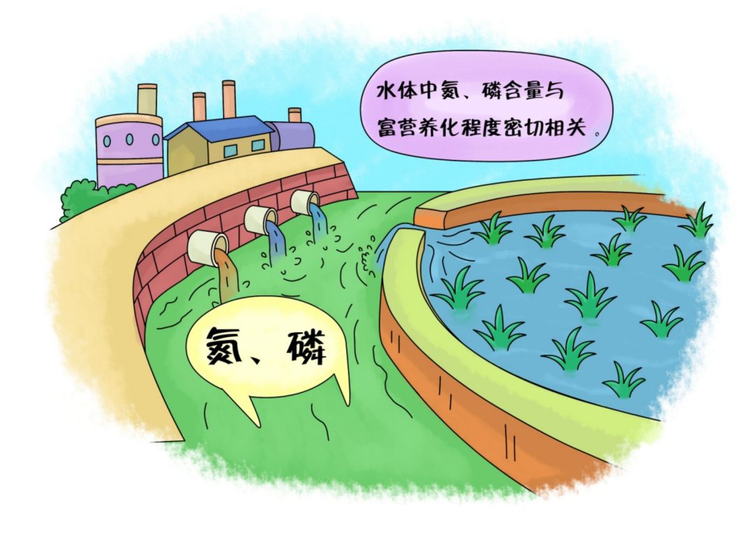 1689483795671018286.png 1689483795671018286.png