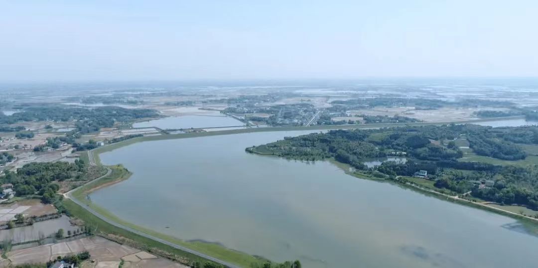 1691465696622095580.jpg 1691465696622095580.jpg