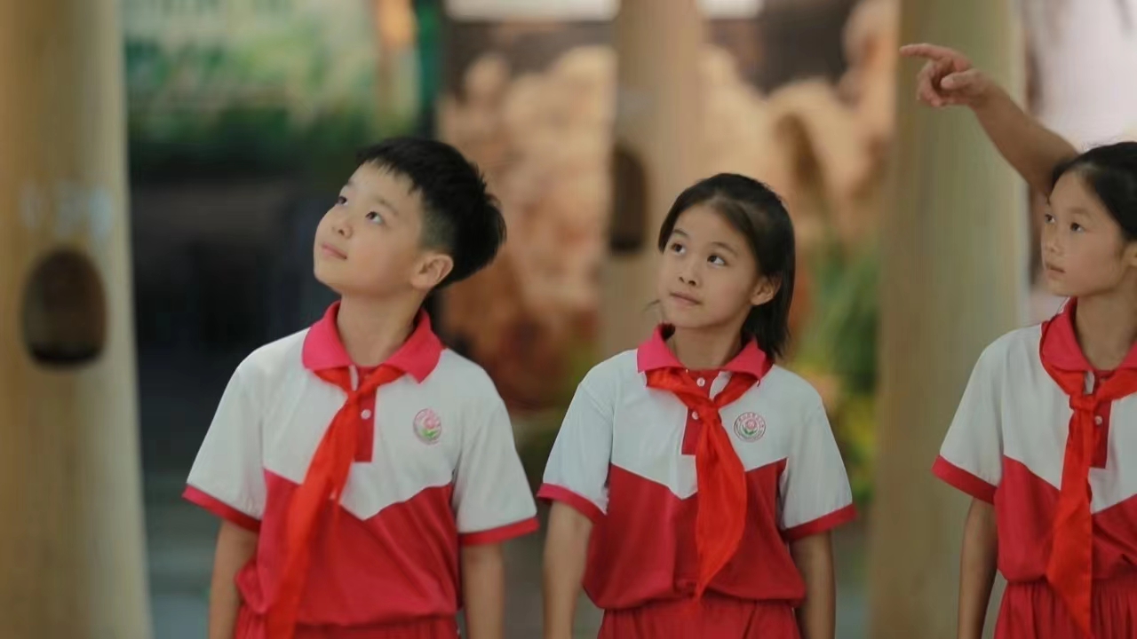 1691490041082062557.jpg 1691490041082062557.jpg