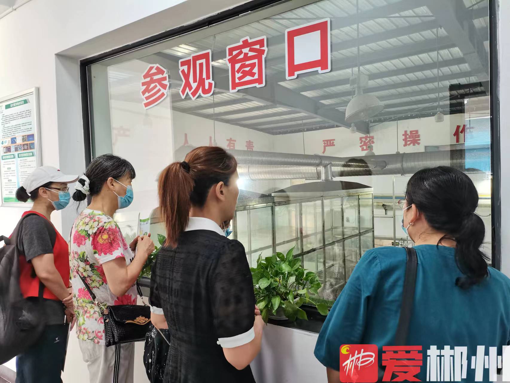 1692154815497054270.jpg 1692154815497054270.jpg