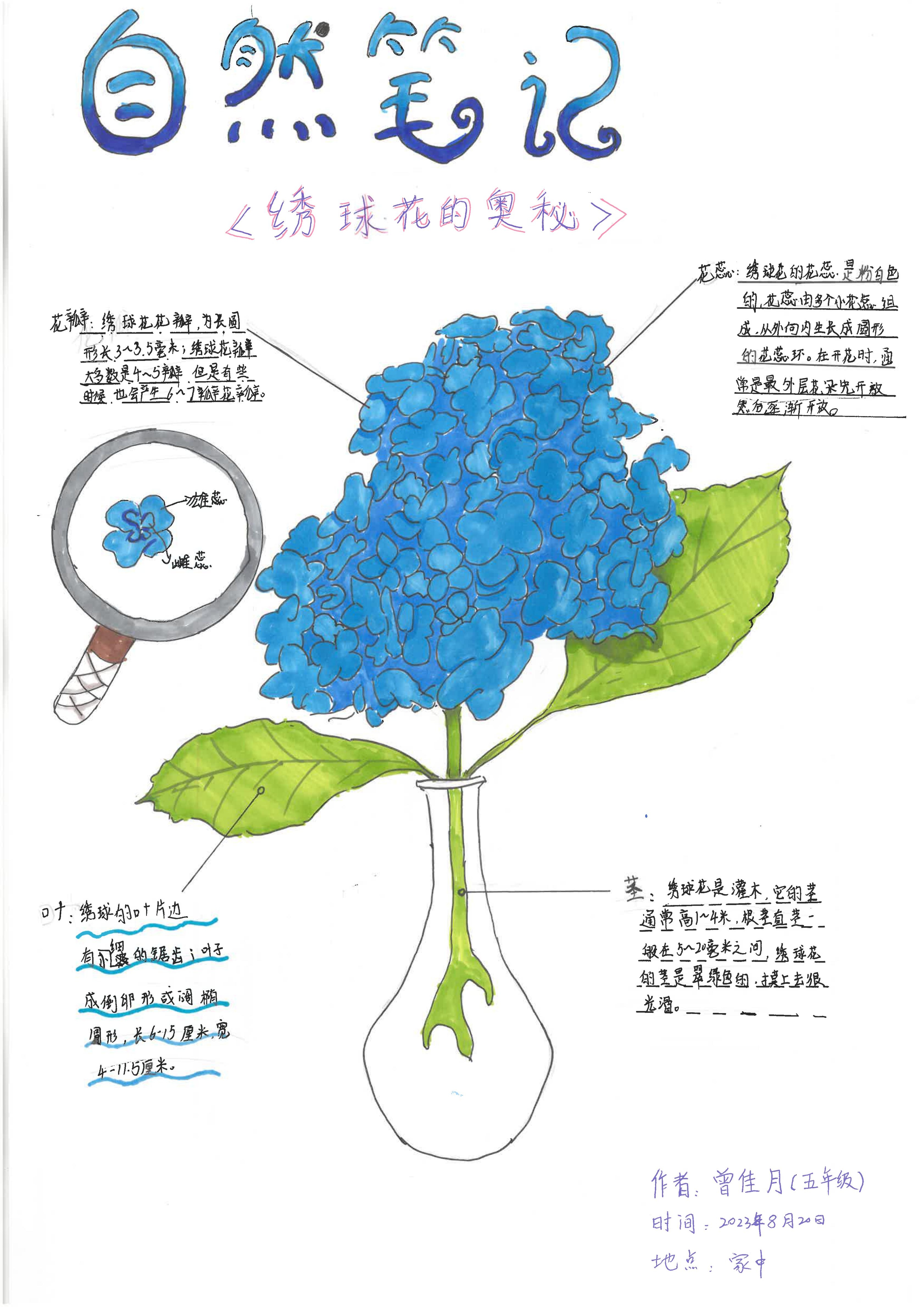 1694576337139015215.jpg 1694576337139015215.jpg