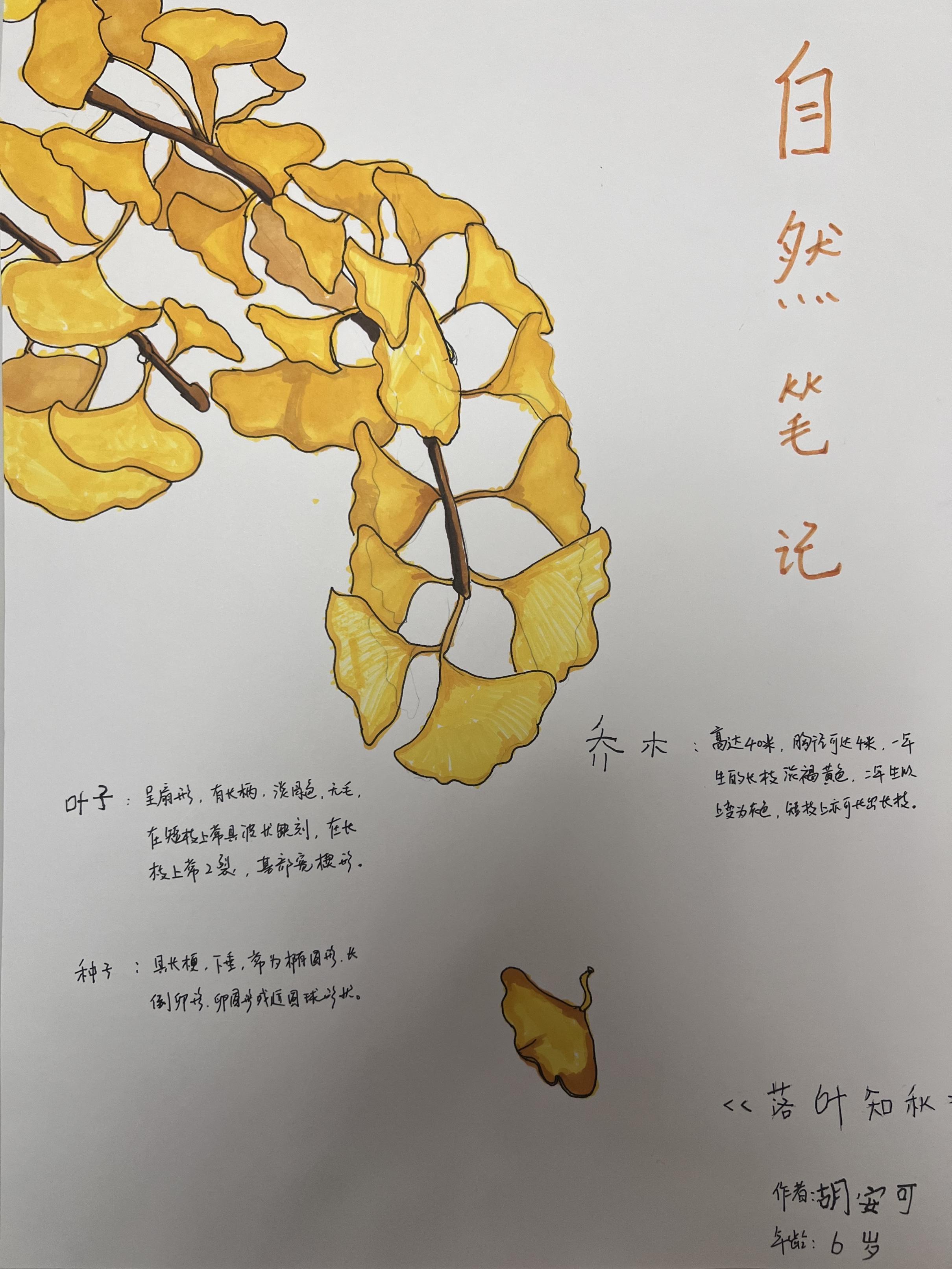 1694771943249037505.jpg 9.15(第二篇).jpg